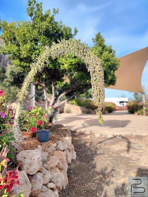 Casa Can Lluc Con Piscina, Jardin Y Vista Al Campo Sant Miquel De Balansat Exterior photo