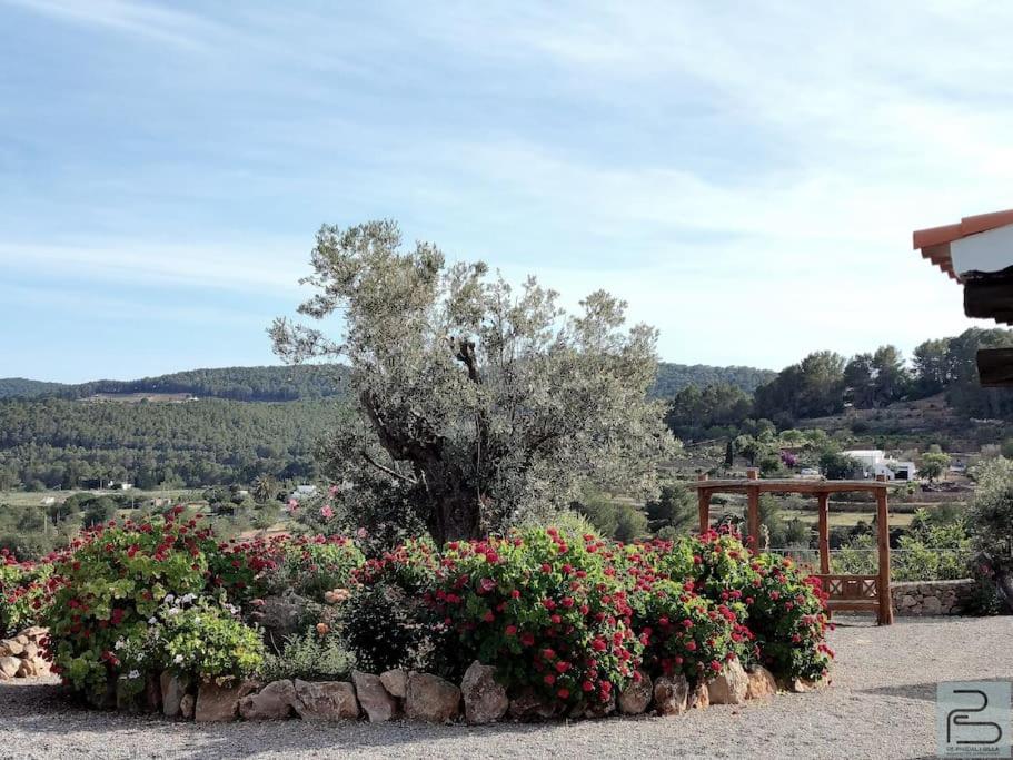 Casa Can Lluc Con Piscina, Jardin Y Vista Al Campo Sant Miquel De Balansat Exterior photo